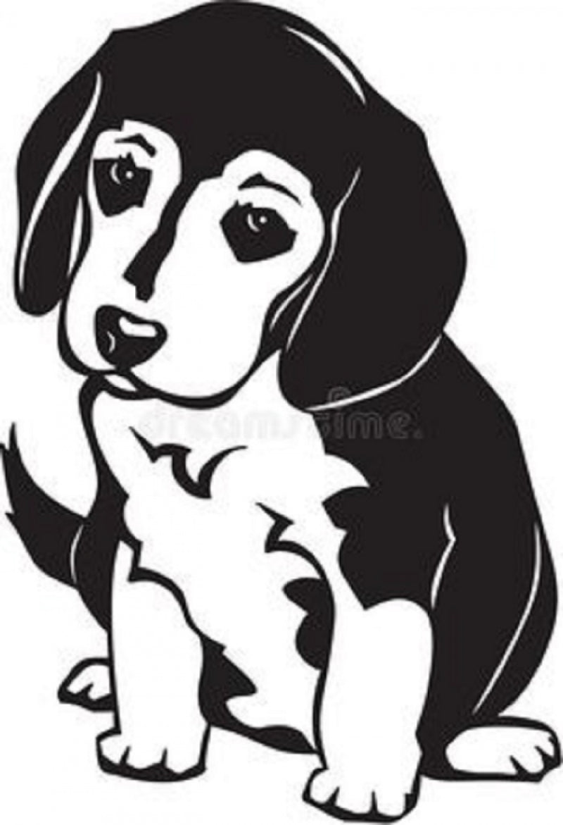 Adesivo de Parede Animais An1
